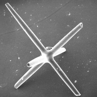 Beyond the Surface: The Micro-Spicule Revolution in K-Beauty